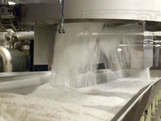 Ilustrasi industri gula (Ist)